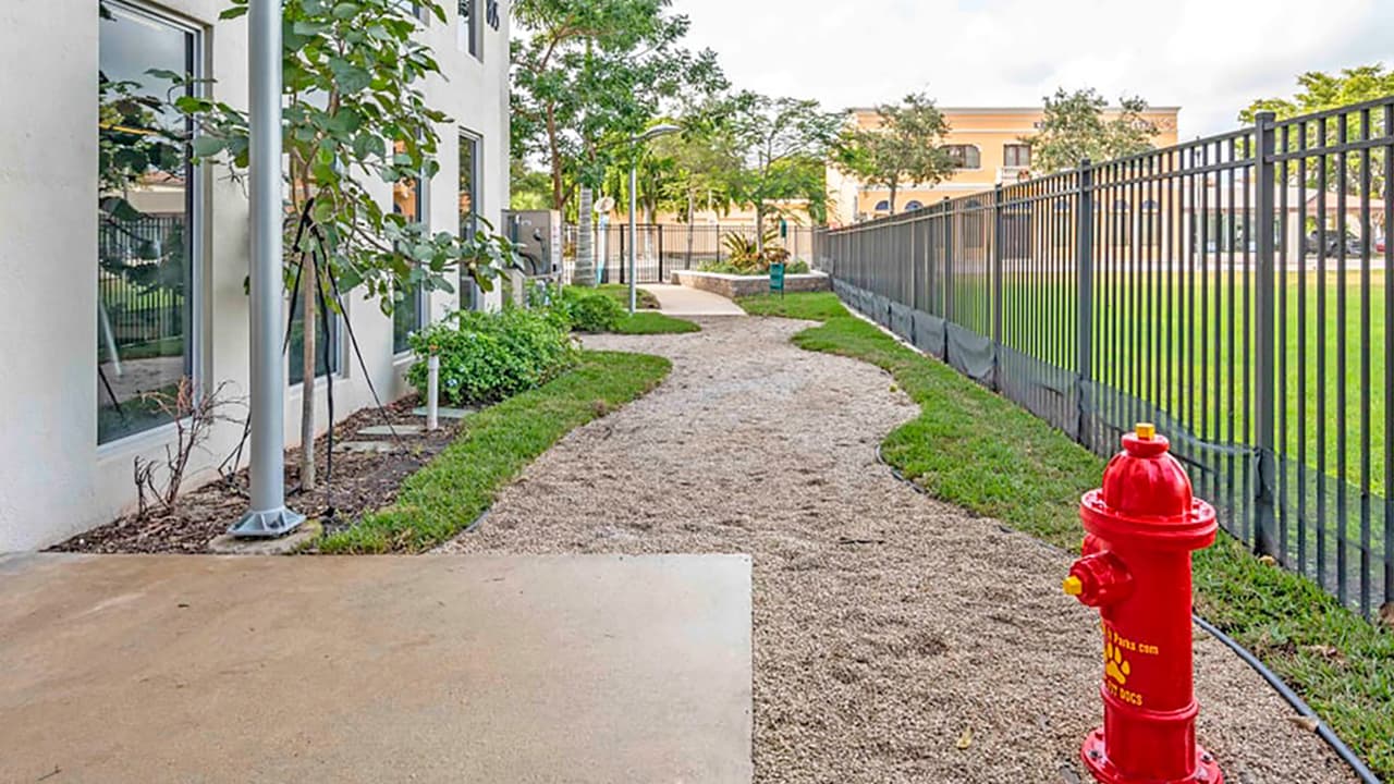 Griffis North Olive — photo 4 of 6